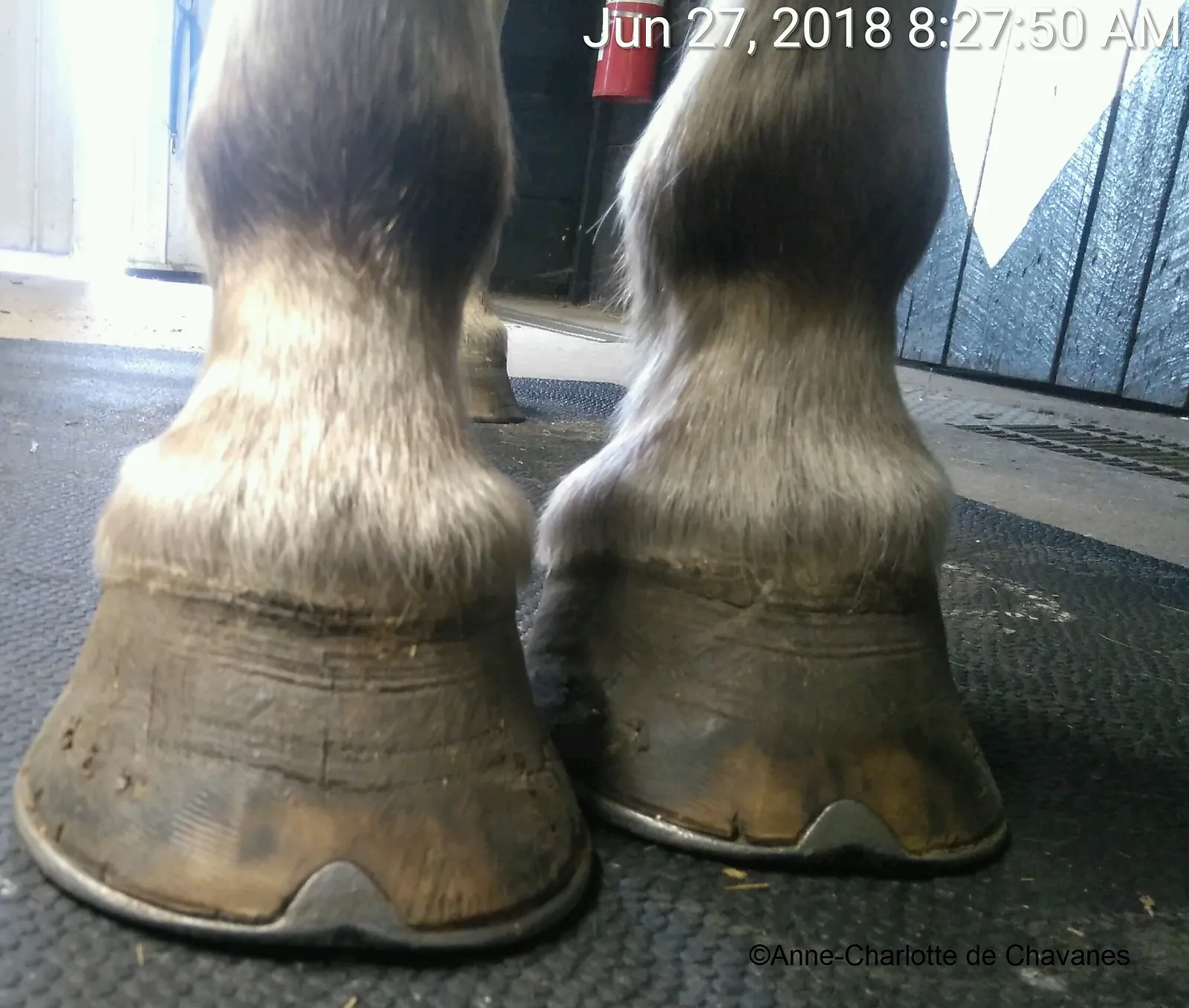 20180627_Ben.jpg