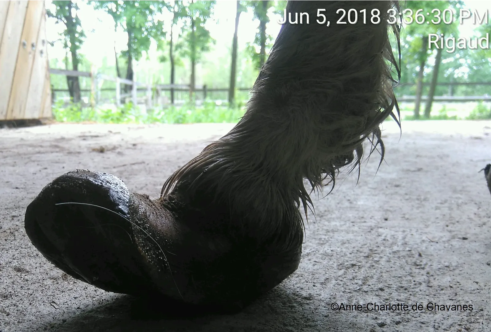 20180605_Tony.jpg